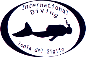 International Diving